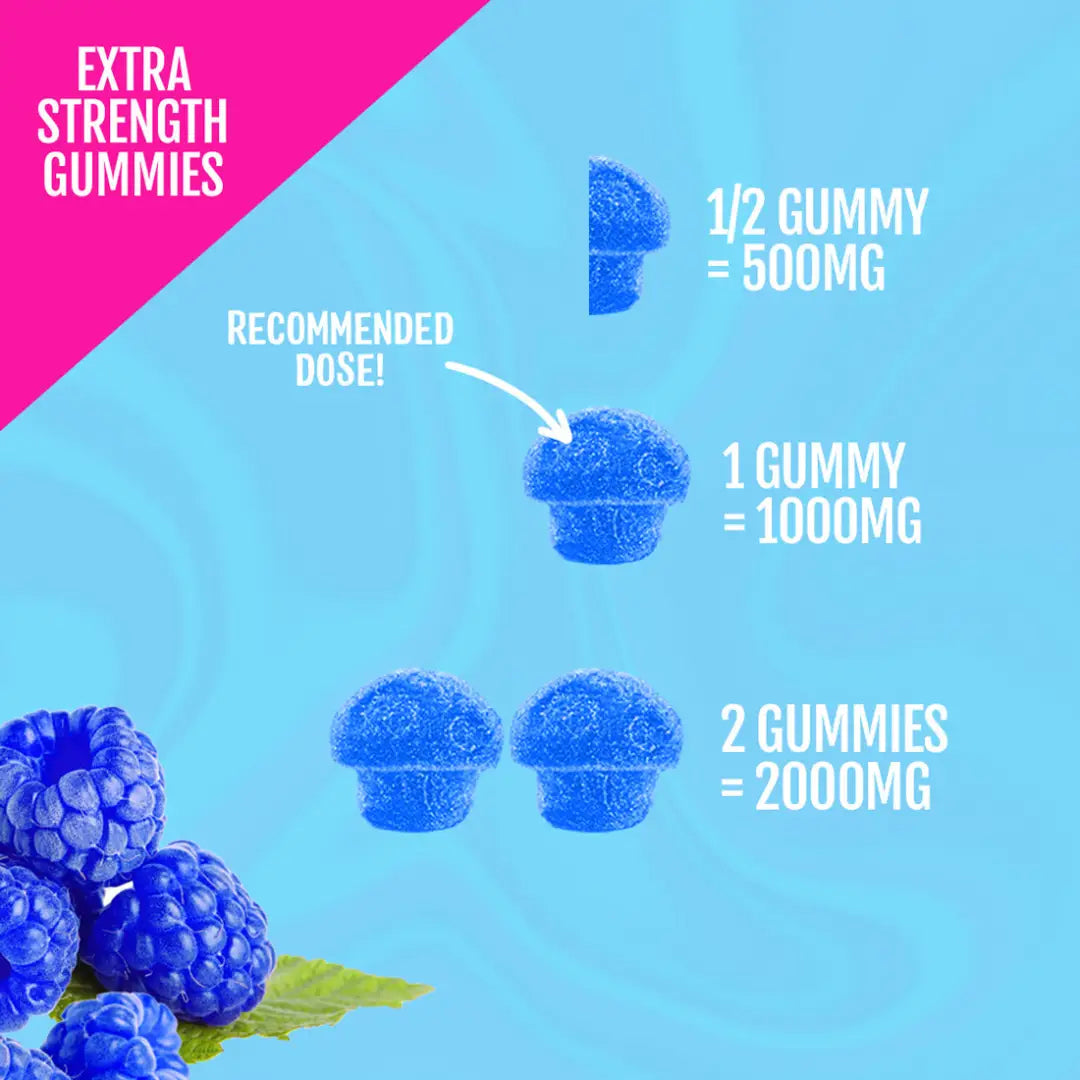 MushMoji Turkey Tail Mushroom Gummies - gummy MushMoji Turkey Tail Mushroom Gummies - gummy