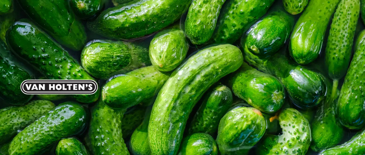 Van Holten Pickles