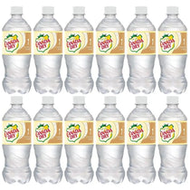 Canada Dry Vanilla Cream Soda 20oz Bottle pack of 24