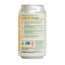Gingerbug Ginger Beer Original 12oz/355ml case 12ct - soda