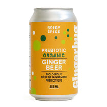 Gingerbug Ginger Beer Spicy 12oz/355ml case 12ct - soda