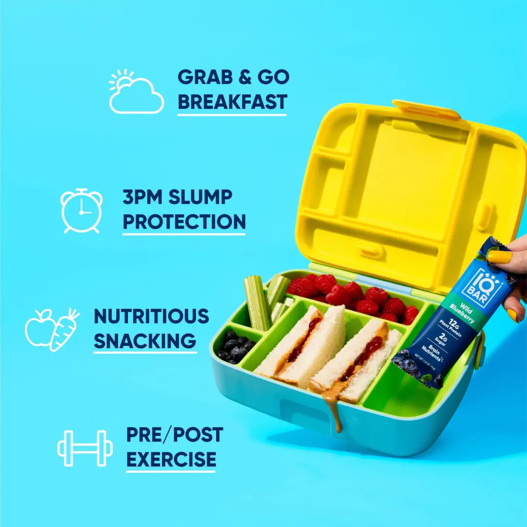 IQBAR Brain + Body Protein Bars Wild Blueberry Keto Vegan