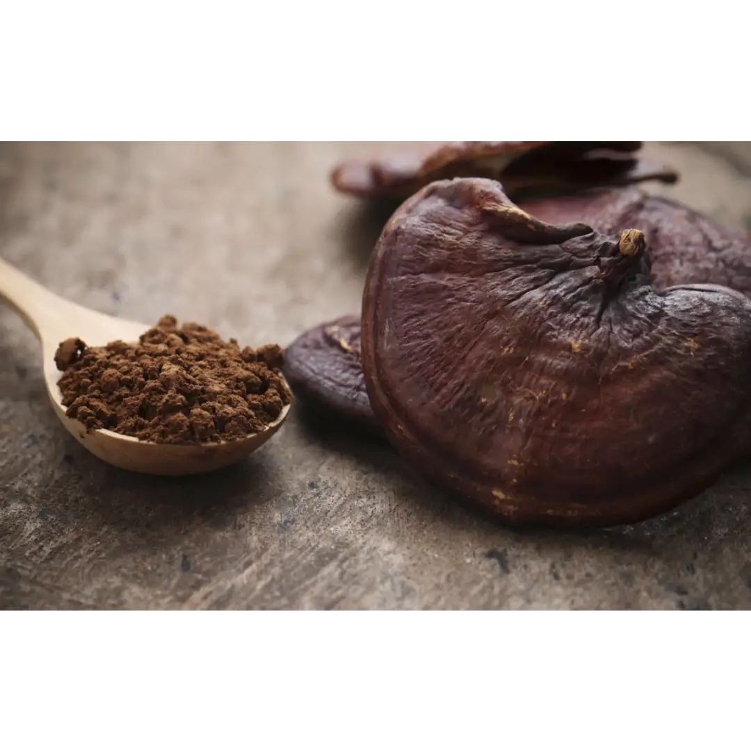 Mushmoji Reishi Mushroom Gummies