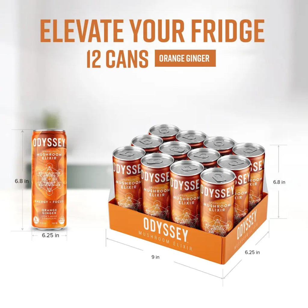 ODYSSEY ELIXIR Orange Ginger- 12oz/12Pk