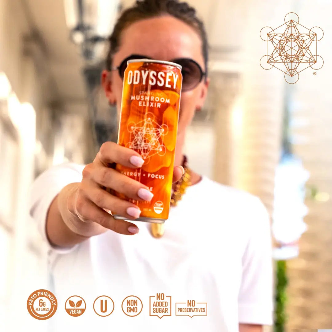 ODYSSEY ELIXIR Orange Ginger- 12oz/12Pk