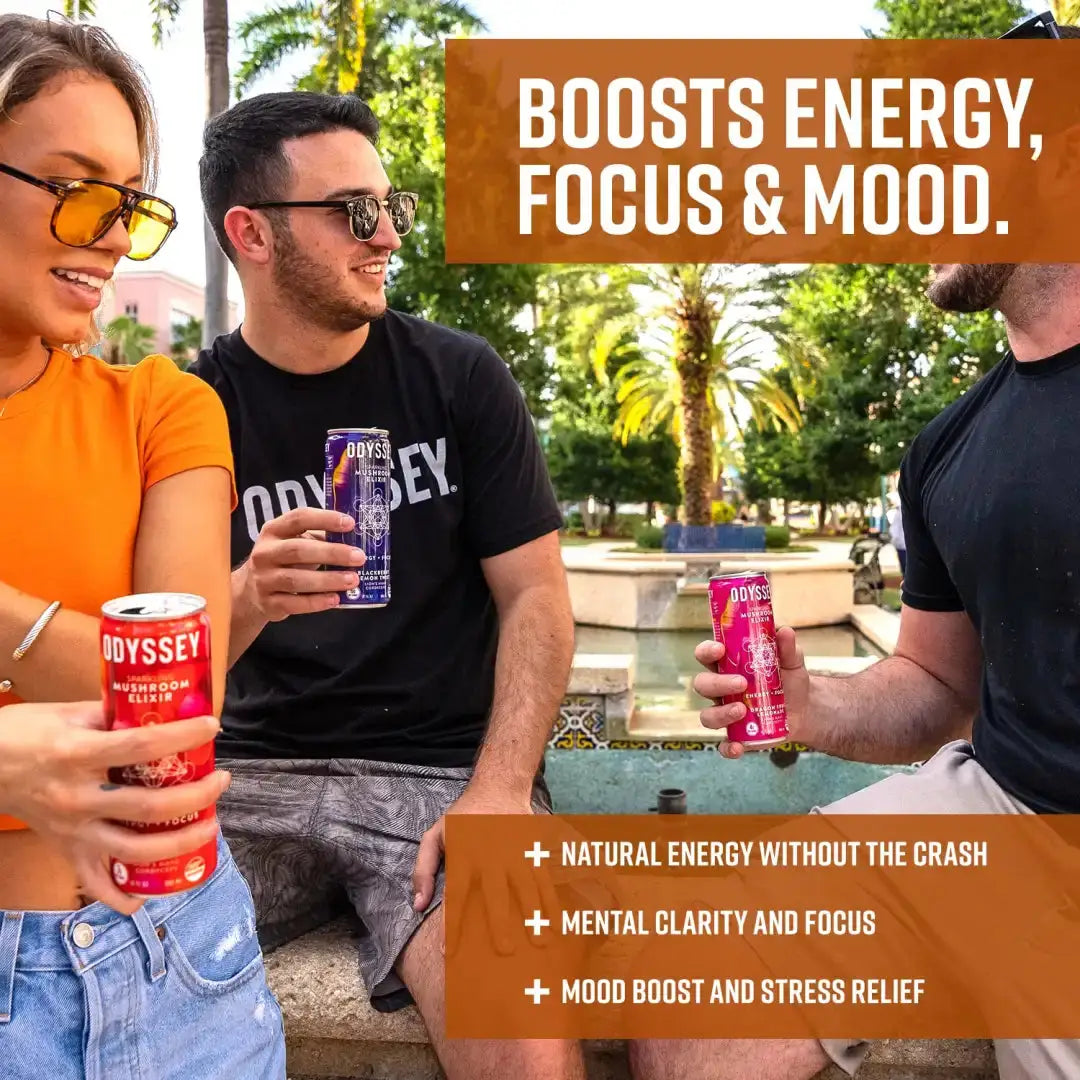 ODYSSEY ELIXIR Orange Ginger- 12oz/12Pk