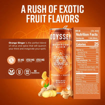 ODYSSEY ELIXIR Orange Ginger- 12oz/12Pk
