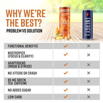 ODYSSEY ELIXIR Orange Ginger- 12oz/12Pk