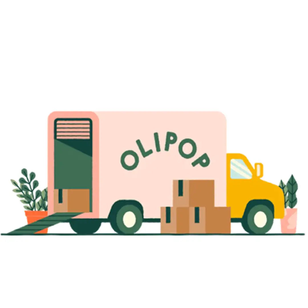 Olipop Mixed Pallet -200 cases 20 of each flavour - Soda